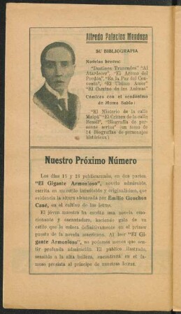 Alfredo Palacios Mendoza - Su bibliografía