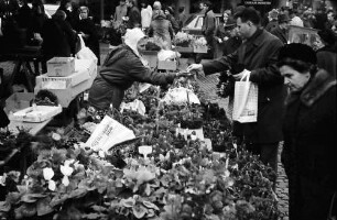 Freiburg: Marktstand mit Adventskränzen