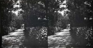 Straße in La Baule