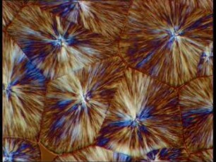 Crystallization of Polypropylene