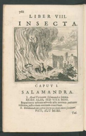 Liber VIII. Insecta.