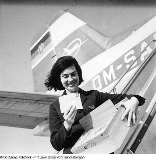 Stewardess