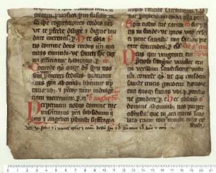 Fragment 1. Vorderer und hinterer Spiegel