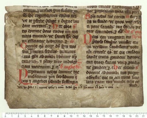 Fragment 1. Vorderer und hinterer Spiegel
