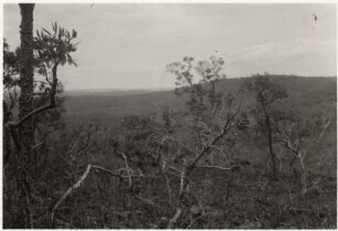Stufenlandschaft zwischen 17,2 km und 18 km östlich von Nioaque
