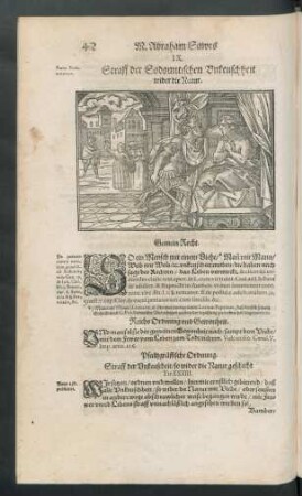 IX. Straff der Sodomitischen Unkeuschheit wider die Natur.