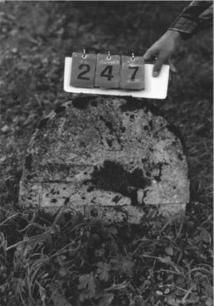 Grabstein 247 (Index: 100106961) Material: Kalkstein Zustand: stark verwittert, fast völlig eingesunken, völliger Textverlust Maße HxBxT: 58x64x13 cm Beschreibung: Oberteil einer Stele mit Rundbogenabschluß: Grabstein 247