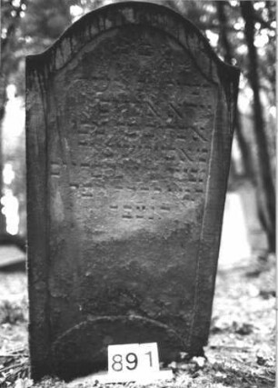 Grabstein 891 (Index: 99899353) Material: Sandstein Zustand: fast völlig verwittert Maße HxBxT: 116x58x11 cm Beschreibung: Stele mit Konvexbogenabschluss: Grabstein 891