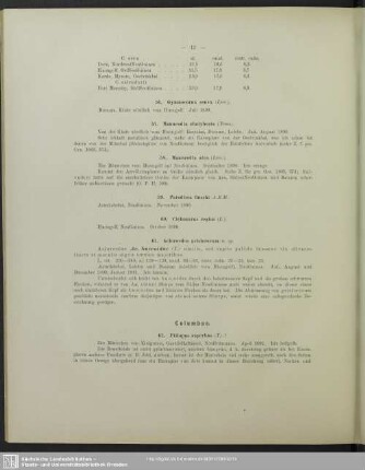 Columbae