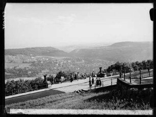 Blick vom Niederwalddenkmal auf Bingen am Rhein