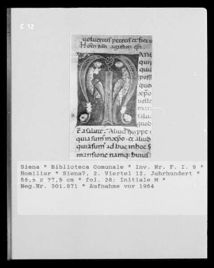 Homiliar — Initiale M, Folio fol. 28