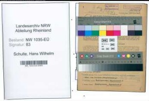 Entnazifizierung Hans Wilhelm Schulte , geb. 08.06.1910 (Jurist)