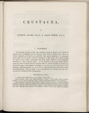 Crustacea.