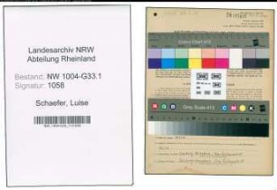 Entnazifizierung Luise Schaefer , geb. 05.08.1901 (Lehrerin)