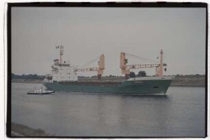 Timbus (1983), Wulff, Kolmar