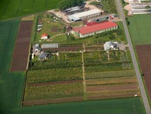 Ermstedt