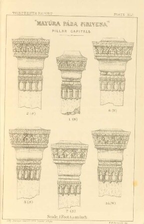 Plate XLI. "Mayúra páda pirivena". Pillar capitals.