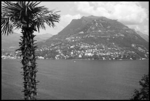 San Martino: Luganer See, Monte Bré, Vordergrund eine Palme