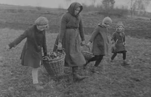 "Viele Steine gabs und wenig Brot" - Kleinbäuerin und Kinder beim Steine aufsammlen auf dem Feld : Kleinbäuerin und Kinder beim Steine aufsammlen auf dem Feld
