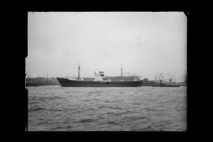 Edwin Reith (1958), Orion, Hamburg