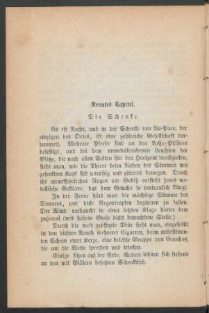 Neuntes Capitel. - Die Schenke.