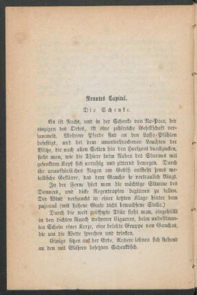 Neuntes Capitel. - Die Schenke.