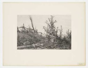 Étude de chardons, Blatt 19 der Folge "Le paysage au fusain"