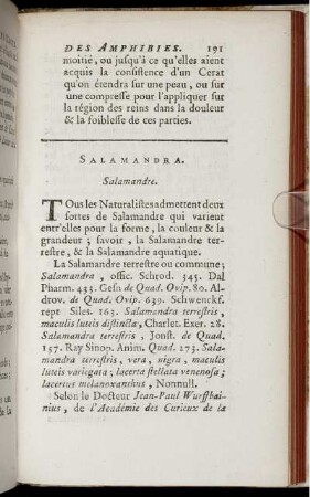 Salamandra. Salamandre.