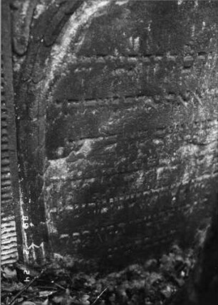 Grabstein 221 (Index: 99752113) Material: Sandstein Zustand: abgeblätt/verwittert mit Textverlust Maße HxBxT: 140x80x13 cm Beschreibung: Stele, in Voluten auslaufender Rundbogenaufsatz, ovales Schriftfeld eingetieft Symbolik: segnende Hände, Ranken, Kartusche, Voluten: Grabstein 221C