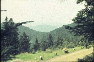 Blick ins Rheintal