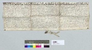 Statthalter, Kanzler und Räte des Hochstifts Regensburg verleihen das Erbrecht am sogenannten Veichtnergut ((1)) im Pflegamt Eberspeunth ((2)) nach Erbrecht an Veichten Veichtner. S: Hofrat des Hochstifts Regensburg. A: Regensburg (krfr.St. Regensburg), Bistum/Hochstift: Statthalter. Regensburg (krfr.St. Regensburg), Bistum/Hochstift: Kanzler. Regensburg (krfr.St. Regensburg), Bistum/Hochstift: Hofräte