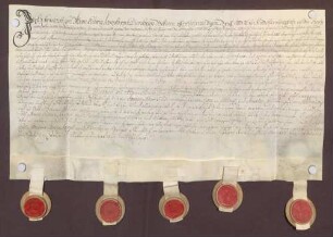 Instrumentum probationis Christoph Karl Adam von Dienheims.