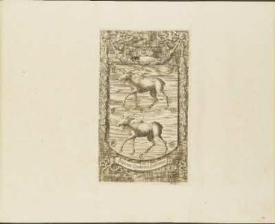 Kupferstich: Insigne Comitatus Olandiae