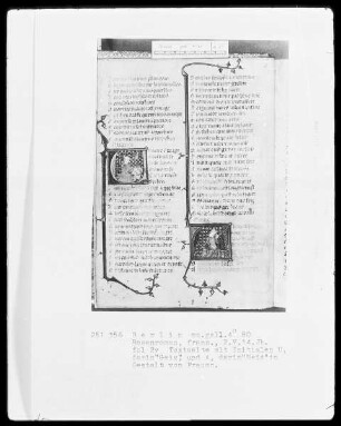 Roman de la Rose & Rosenroman — ---, Folio 2versoBuchseite