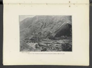Plate LXVI.