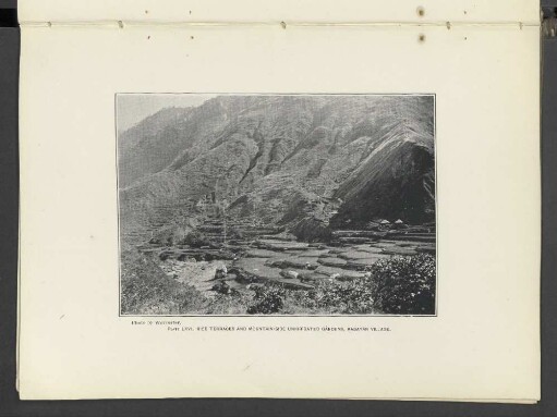 Plate LXVI.