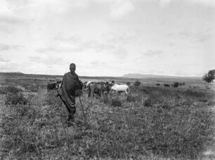 Steppe : Blick über die Steppe südöstlich Oldeanis.