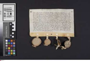 Wolfskehlen: Sententia arbitralis a Decano ecclesie Ste. Johannis Moguntiae Rectore ecclesiae in Wolveskelen et que Magistro Hermanno de Zellenhan...