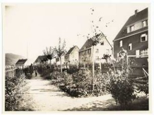 Gartenanlage Siedlung Rudeltstraße, Freital: Gärten und Wege mit Baumbepflanzung