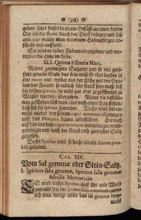 Cap. XIV. Vom Sal gemmæ oder Stein-Saltz.