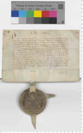 Elf Ratsmannen bekunden den Verkauf eines Fuders Salz aus Ludolvinge [Sülzhaus] an Heiligenthal. [lat]