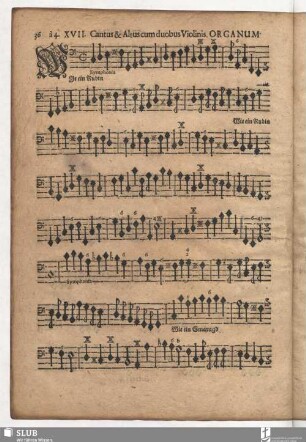 XVII. Wie ein Rubin