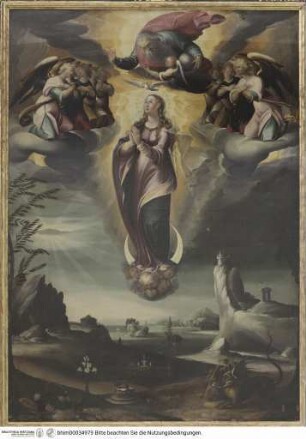 Immaculata