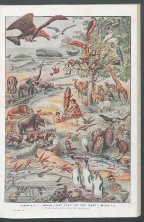 Tafel: Wonderful things that live on the earth with us.