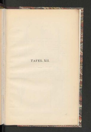 Tafel XII.