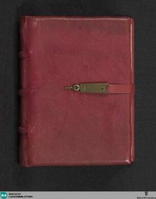 Psalterium feriatum - Cod. U. H. 12