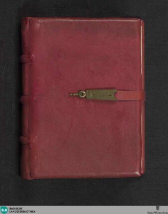 Psalterium feriatum - Cod. U. H. 12
