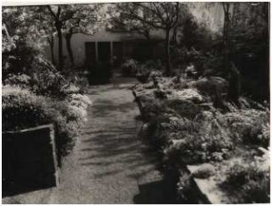 Garten Bergius, Heidelberg: Weg zum Haus