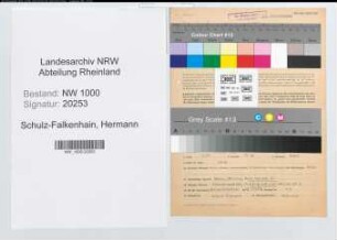 Entnazifizierung Hermann Schulz-Falkenhain, geb. 03.11.1910 (Ingenieur)