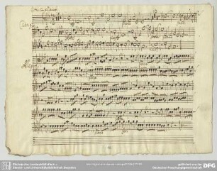 Concerti grossi, HWV 312 